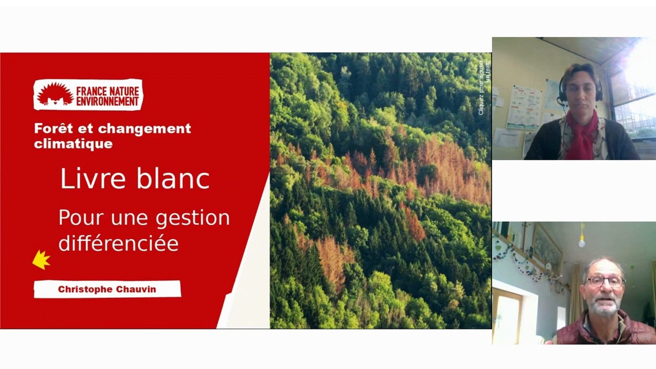 Webinaire #39 forêt et changements climatiques