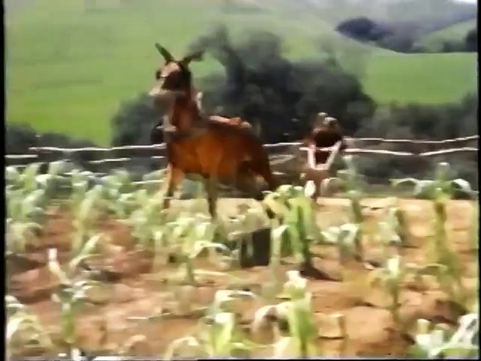 Opening to 20,000 Leagues Under the Sea 1991 VHS [True HQ]