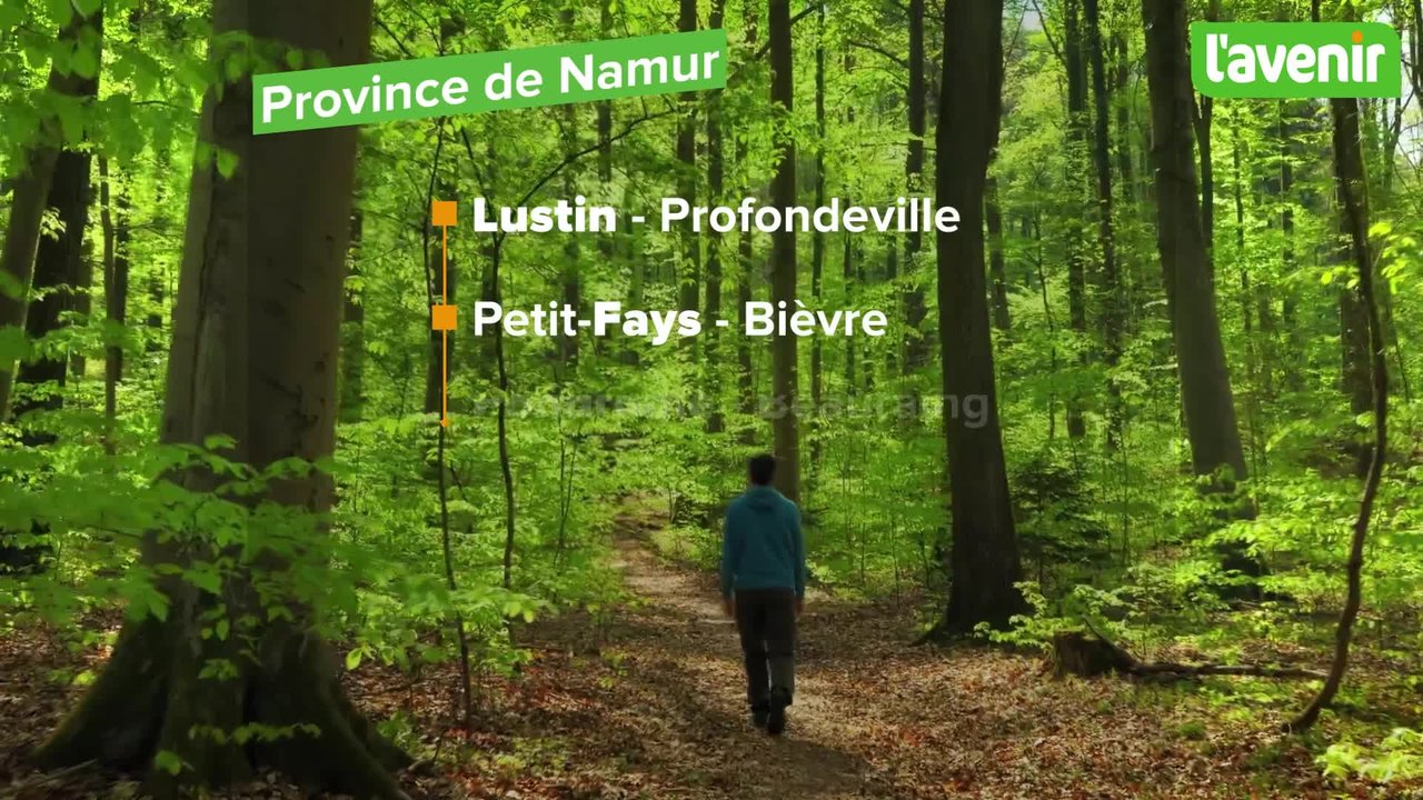 Marches en Wallonies week-end 5 et 6 avril 2025