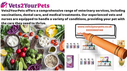 Short Video Presentation Vets 2 Your Pets