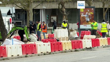 Polémica en Lisboa por la tala y el trasplante de árboles para crear más aparcamientos