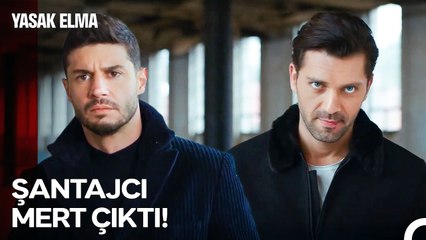 Kime Bulaştığının Farkında Bile Değilsin - Yasak Elma 100. Bölüm