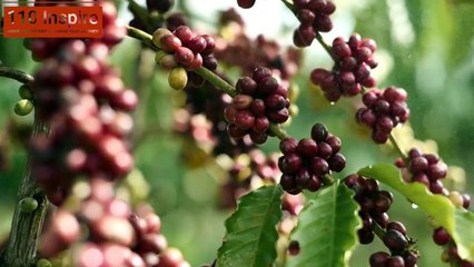 अल्लाह पर भरोसा करने का इनाम  धैर्य की एक अविस्मरणीय दास्तान