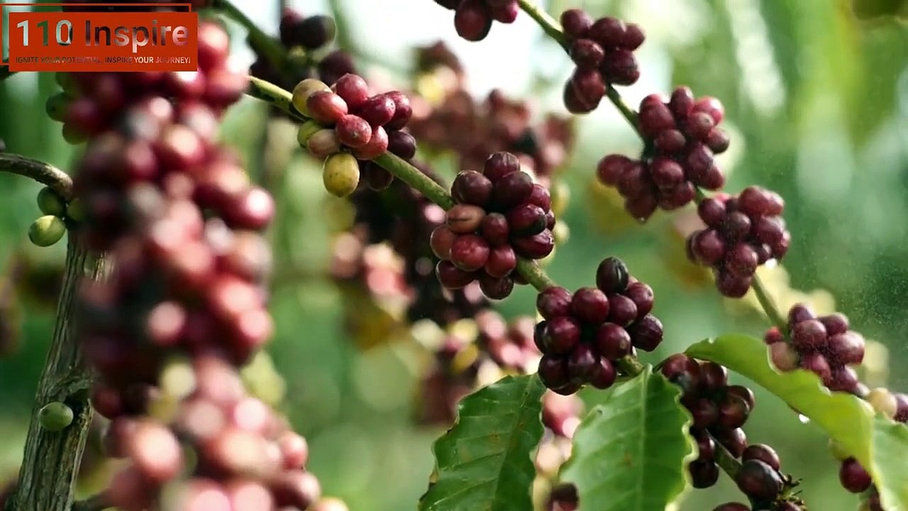 The Most Inspiring Story of Patience & Trust in Allah