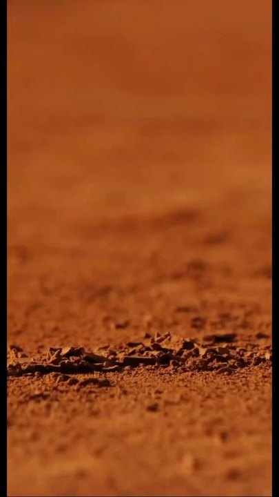 Superbe. Le 26 avril nous serons en concert à La Taverne Aux Ours a Parthenay 21h00