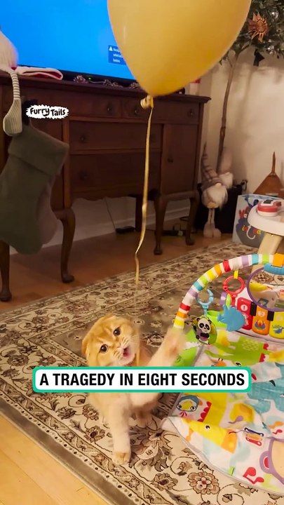 Jack looses his balloon 😭