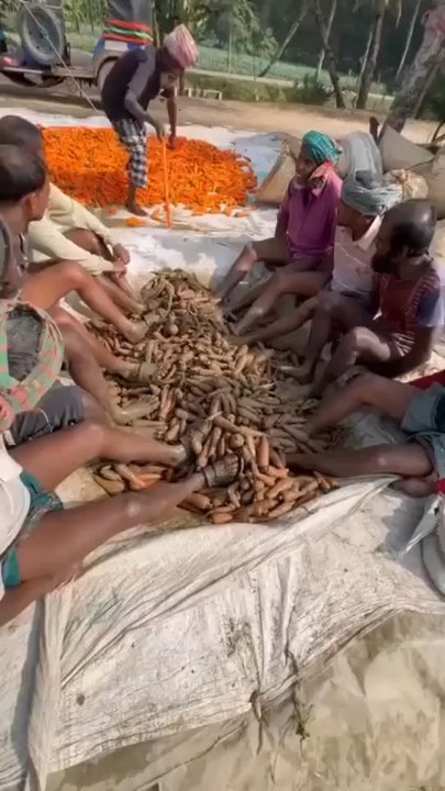 La première fois que j’ai vu cette vidéo j’ai buggé 🤣🥕