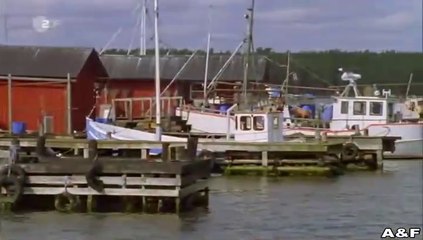 Inga Lindström -028- Wiedersehn in Eriksberg