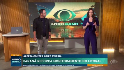 Paraná reforça monitoramento nas granjas para evitar gripe aviária