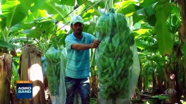 Giro Brasil: laboratório de agricultura digital, exportação de limão-taiti
