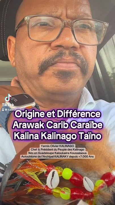 Peuple Premier Origine Différence Habitants Antilles Amérique Arawak Kalina Kalinago Taïno Carib Caraïbe Kayapo Maya Aztèque Inca Apache Sioux Inuits Yupiks Aléoutes Cris Dénés Iroquois Algonquins Abénakis Micmacs Wabanakis