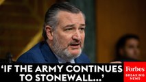 'What Doesn't The Army Want Congress... To Know': Cruz Blasts Army For Not Releasing DCA Crash Memo