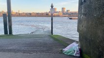 11-year-old girl who went missing in the Thames named