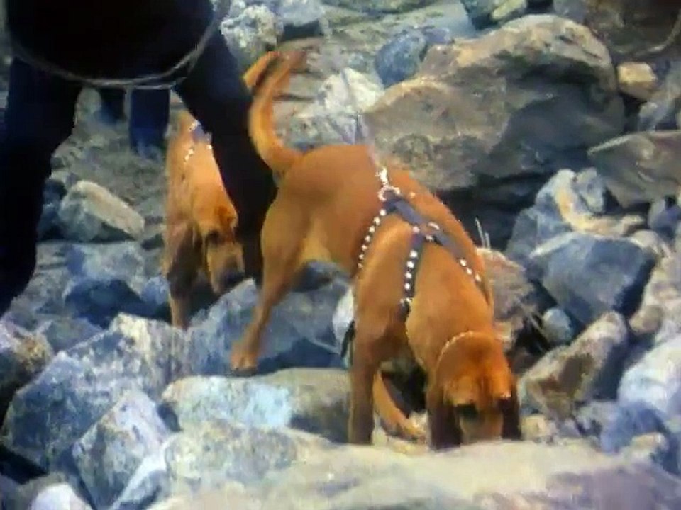 Unsolved Mysteries (1987)  S01E17