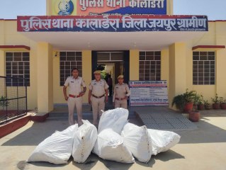 नाले में लहलहा रही थी गांजे की फसल, पुलिस ने 69.69 किलोग्राम पौधे किए जब्त