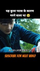 😢 Ye Kutta Pyaas Se Marne Wala Tha! | Korean Movie Heartbreaking Story Explained #Shorts