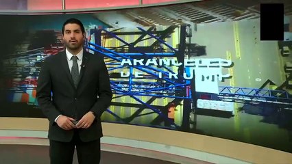 Aranceles provocan reacciones en el partido demócrata