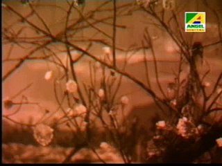 005-Part,5,Bangla Film,Maraner Parey- - 2of5