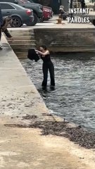 Cette femme se mobilise pour ce chat bloqué au milieu de l’eau