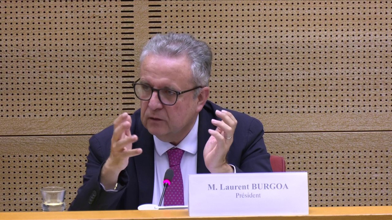 Directeur général de Nestlé auditionné : "Nous donnons au groupe une dernière chance de s’expliquer"