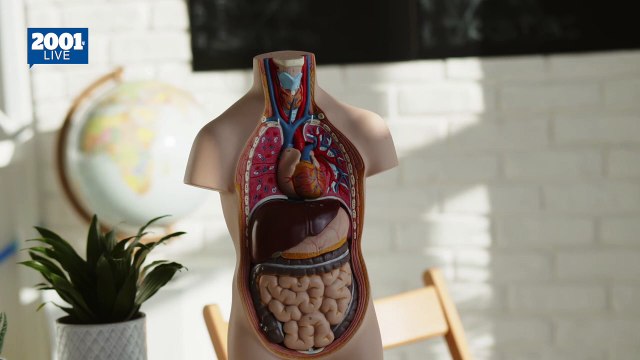 Té de cúrcuma: El aliado natural para limpiar tu hígado