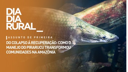 Do colapso á recuperação: como o manejo do pirarucu transformou comunidades na amazônia
