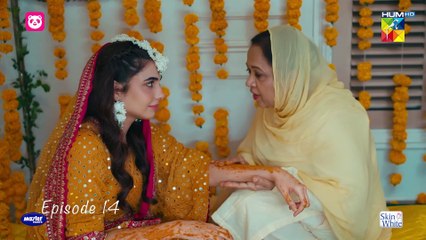 Meem Se Mohabbat - Episode 14 [CC] 30th Jan 2025 - Sponsored By foodpanda, Master Paints, Skin White