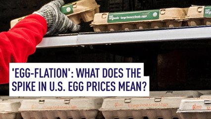 ‘Egg-flation’ crisis: What does the spike in the U.S. egg prices mean?
