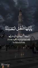 Alquran Soothing Recitation l Mind peace recitation l souls peace recitation l Islamic Video