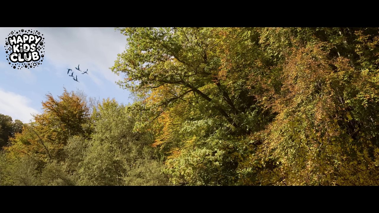 The Fox and the Bird - CGI short film by Fred and Sam Guillaume