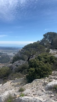 LE PRINTEMPS est arrivé à Toulon