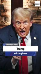 Former WH Comms Director: Trump stirring buzz