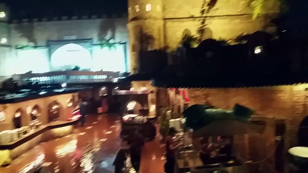 Incredible Foodie Escapades. Flavors Uncovered.