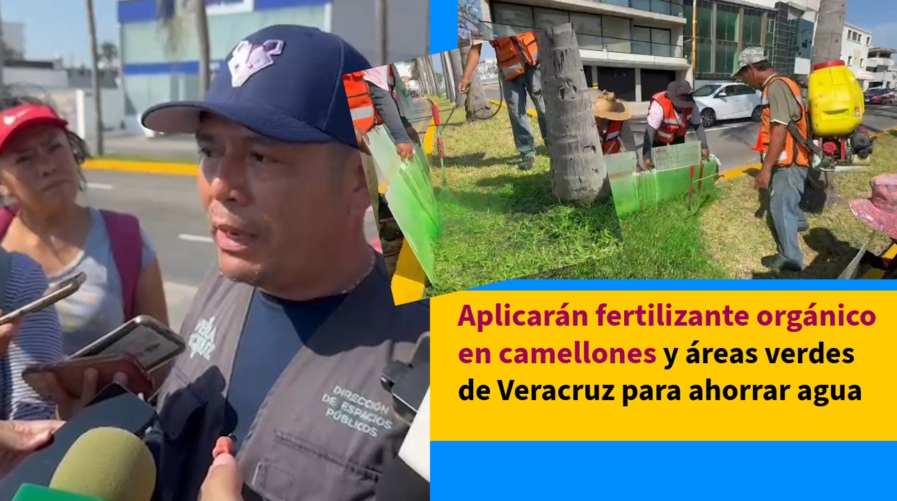 ¡No es pintura! Esto le están poniendo al pasto en Veracruz para que se mantenga verde
