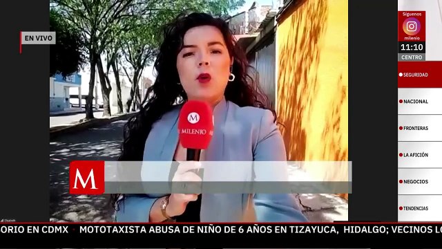 Aseguran artefactos explosivos y detienen a presunto integrante del Cártel de la Virgen en Michoacán