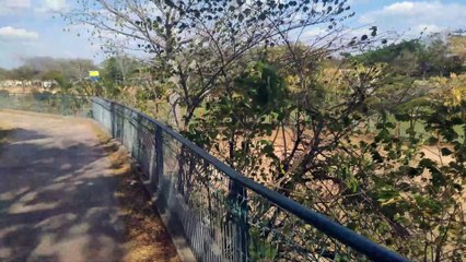 Animaya - Mérida - Yucatán - 4K - Parte 1