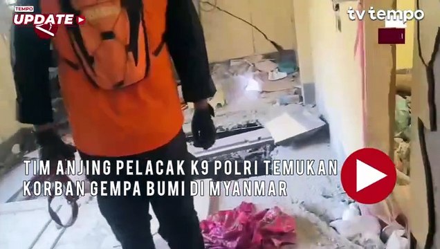 Tim Anjing pelacak K9 Polri Temukan Korban Gempa Bumi di Myanmar