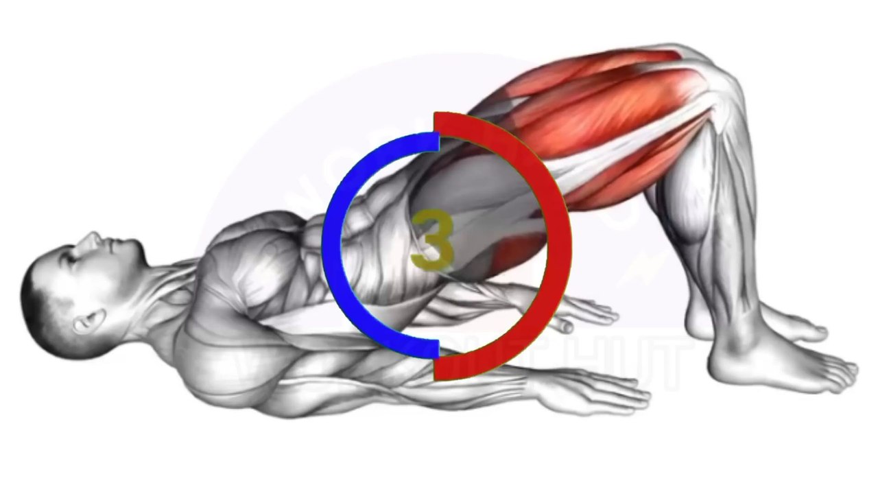 The best 8 higher! Hidden  Exercises Should Do Every day