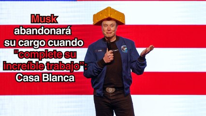 Musk abandonará la Administración cuando "complete su increíble trabajo". Casa Blanca