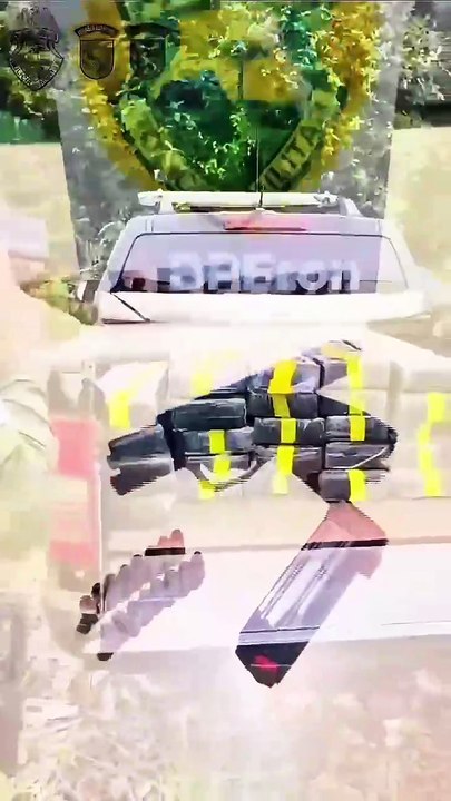 Unidades do BPFron são responsáveis por 63% da maconha apreendida no Paraná