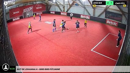 But de Johanna H - Bird Bird Féminine