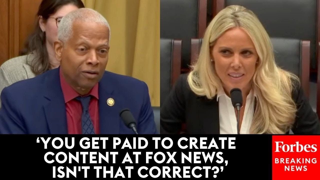 'Are You On The Clock Right Now?': Hank Johnson Grills Fox News Contributor At Judiciary Hearing