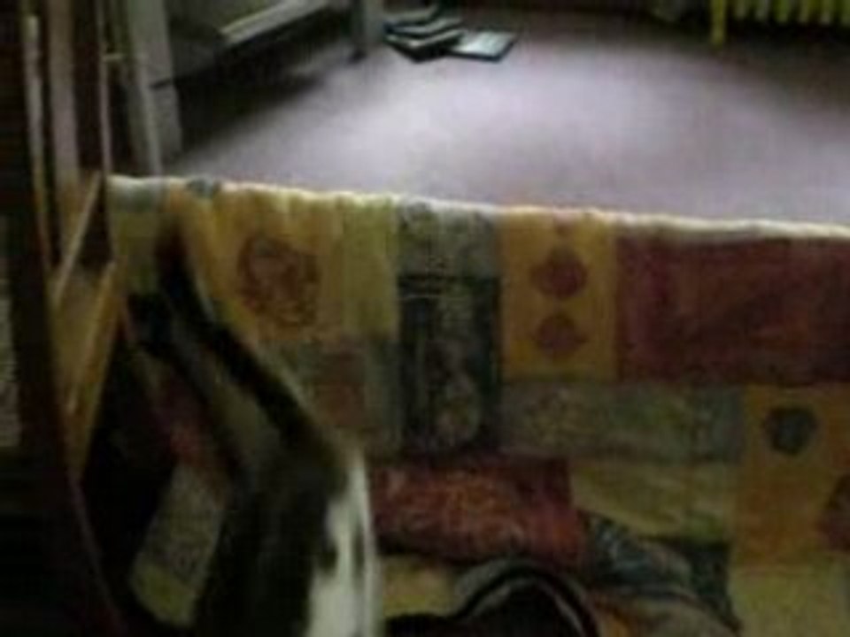 DSCN0105