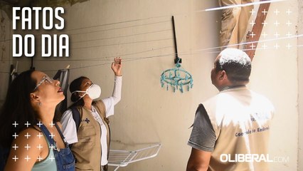 Em 2025, até março, Pará registra 4.921 casos de dengue, com nove mortes