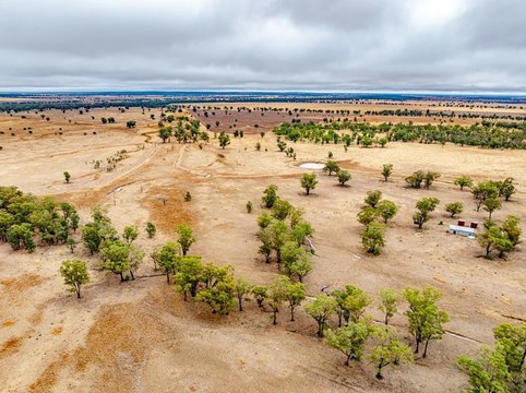 Two Parkes region versatile farms heading to auction