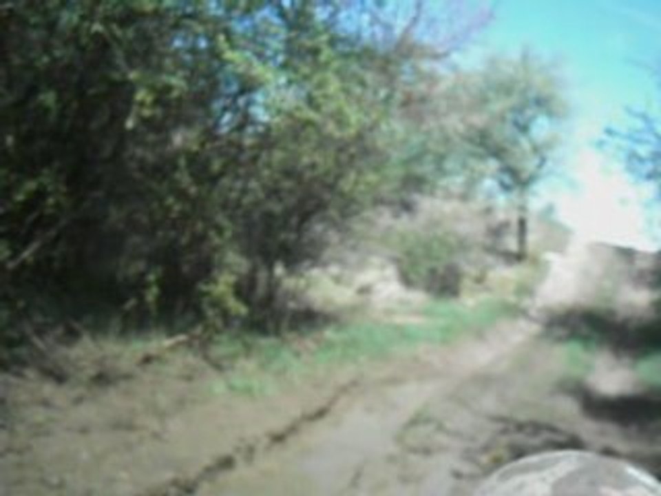 Buggy out