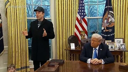 Las ventas mundiales de Tesla caen por el rol de Musk en la administración Trump