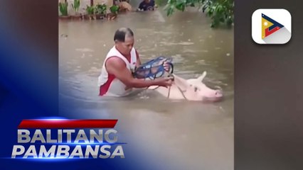 DSWD, namahagi ng tulong sa mga pamilyang binaha sa Sarangani Province