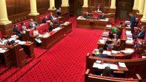 Government delays child protection legislation change over wording specifics