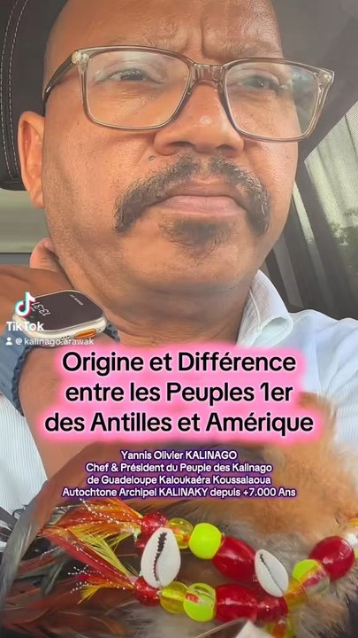Peuple Premier Origine Différence Habitants Antilles Amérique Arawak Kalina Kalinago Taïno Carib Caraïbe Kayapo Maya Aztèque Inca Apache Sioux Inuits Yupiks Aléoutes Cris Dénés Iroquois Algonquins Abénakis Micmacs Wabanakis Cherokees Creeks